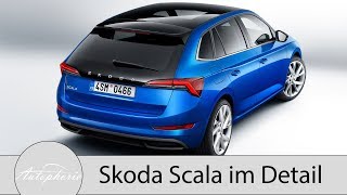 Neue Skoda Scala Alle Fakten zum neuen KompaktModell RapidNachfolger  Autophorie [upl. by Lletnom]