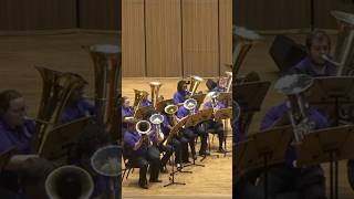 🎶 The beautiful sound of EUPHONIUMS and TUBAS [upl. by Uahc]