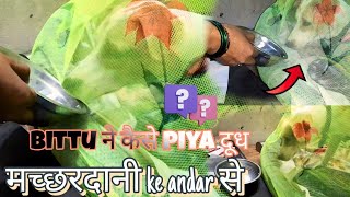 BITTU ka naya STYLE 😅  BITTU DRINK MILK viralvideo funny [upl. by Nileuqay249]