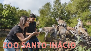 Zoo Santo Inácio já tem experiências VIP para descobrir o mundo animal [upl. by Karsten188]