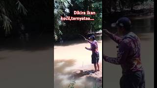 Dikira ikan kecil tapi setelah diangkat ternyataaa Benar mancing mancingliar [upl. by Latouche]