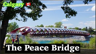 Peace Bridge  Calgary Downtown Canada 🇨🇦 [upl. by Arata]