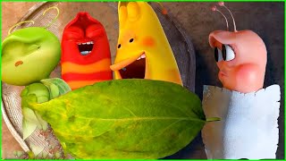 A Long Trip 🦗 Larva Season 5 🌷Larva Terbaru 2022🌴 Funniest Cartoons 🍉Larva Tuba Show [upl. by Chafee891]