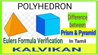 Polyhedrons in Tamil  Eulers Formula  Class 8  Kalvikan [upl. by Enened857]