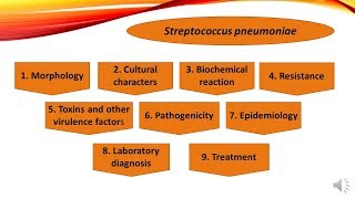 Disease caused by Streptococcus pneumoniae in Hindi [upl. by Velvet]