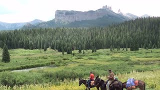 Gaited Mules  2021 Colorado Trail Ride [upl. by Ahto]