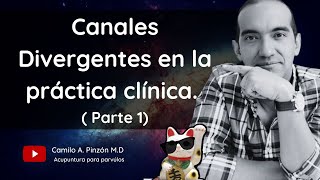 CANALES DIVERGENTES EN LA PRACTICA CLINICA  PARTE 15  Acupuntura para párvulos [upl. by Adnala]