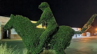 Oatlands Tasmania  Hedges and Topiaries [upl. by Petie]