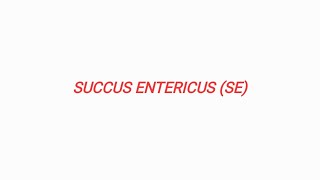 SUCCUS ENTERICUS SE [upl. by Aivatnuahs]