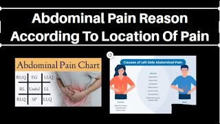 abdominal pain reason according to location of pain PhysiotherapyKnowledge [upl. by Adda]