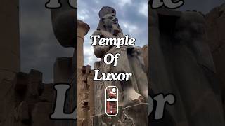 Unveiling Luxor Temple’s Secrets Dive Into Ancient Egypt ancientegypt egyptianhistory shorts [upl. by Nylcaj]