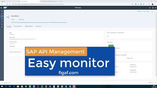 SAP API management Monitoring [upl. by Jerrine]