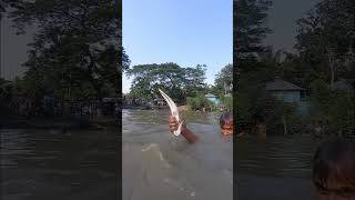 mazing Traditional Fishing Technique From River Fish bigfish netfishing Fishing village fishi [upl. by Asilet]