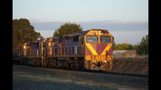 SSRs Deniliquin Grain  N466 and N455 [upl. by Anem506]