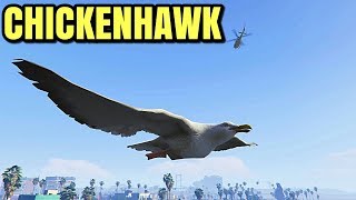 GTA 5 ONLINE  HOW TO UNLOCK quotCHICKENHAWKquot USED FOR DIRECTOR MODE MODDED OUTFITS GLITCH 148 [upl. by Adikam]