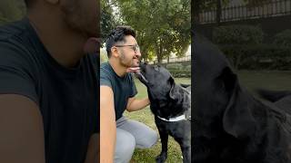 Lucky Ke Sath Outing doglover lucky [upl. by Allerbag]