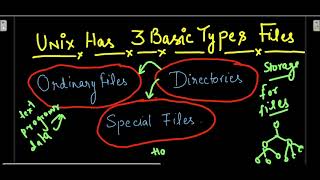 FILE MANAGEMENT UNIX TYPES OF FILES UNIX [upl. by Ahsiuqal]