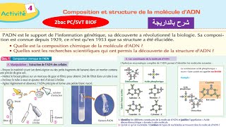 Composition et structure de la molécule dADN 2 bac option français شرح بالداريجة [upl. by Izabel]