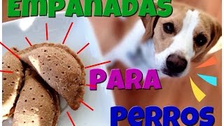 Primer Vídeo Natural Taste quotEmpanadas Para Perrosquot 🐶 [upl. by Zampardi832]