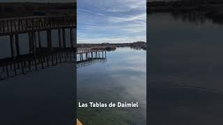 La Tablas de Daimiel parquenatural lagunas [upl. by Coralyn97]