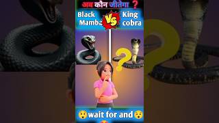 King Cobra 🐍 Vs Black Mamba 😱  Full Comparison in hindi  facts shorts factsvikash100k [upl. by Dnaltiac]