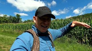 How to buy trophy deer hunting property Pierce County WI 81 ac Deep Dive [upl. by Mcgruter]