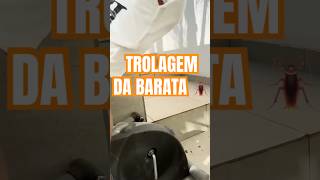 TROLAGEM DA BARATA 🪳 NA CASA NOVA  leozinn077 viralvideo leozin video viralshorts shorts [upl. by Charmain]