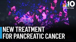 New pancreatic cancer treatment developed at UMass [upl. by Ardnekahs372]