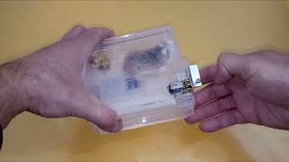 Most Sensitive Mouse Trap  Fool Proof Mouse Trap  Worlds Best Mouse Trap  Best Hamster Trap [upl. by Fiertz166]