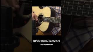 Comparing tops on Rosewood guitars Rosewood vs Mahogany vs Sitka [upl. by Brunella]