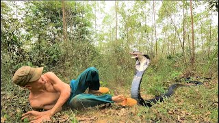 The terrifying moment a man was attacked by a giant king cobra while walking through the forest [upl. by Nossyla735]