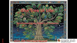 Lecture 8 The Tree of Life Reconstructing the Pattern of Evolution [upl. by Anrak345]