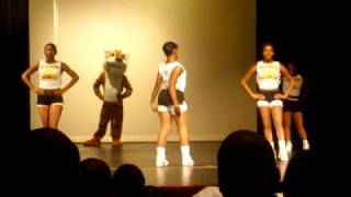 Mitchell High skool majorettes  Tigerettes [upl. by Atinuj]