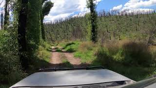 OLD Sandy Point Campground  Orbost SF  Victoria [upl. by Akihdar191]