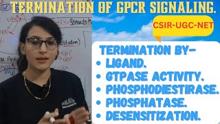 Termination of GPCR Signaling Pathway  Termination by Ligand GTPase Phosphatase Desensitization [upl. by Quiteria]