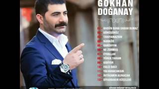 GÖKHAN DOĞANAY GÖRÜŞÜRÜZ FULL ALBÜM 2016 [upl. by Neladgam]