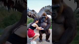 Gorilla good job funny comedyvideos cute funnyanimlas sorts ytshorts viralvideo [upl. by Maillil185]