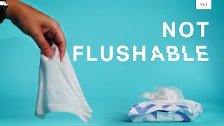 “Flushable” wipes are ruining sewage plants [upl. by Acinyt]