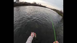 Fly Fishing the Tuolumne River CA  11824 [upl. by Aicnarf]