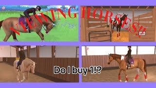 VIEWING HORSES Do I buy 1 equestrian the game [upl. by Maples]