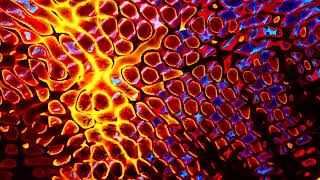 Animated Abstract Snake Skin  4K Animated Background [upl. by Patricio]