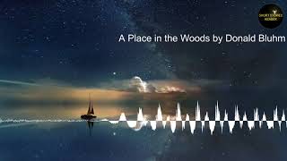 A Place in the Woods  Short Story  Audiobook by Donald Bluhm [upl. by Norda67]