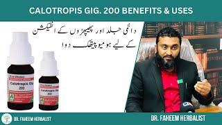 Calotropis Gig 200 BENEFITS amp USES  Dr Fahim Herbalist [upl. by Eninnej]