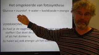 Biologie VWO OB Het belang van fotosynthese [upl. by Aralk]