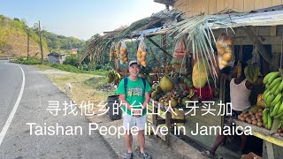 寻找他乡的台山人加勒比海国家牙买加Taishan People live in Jamaica探索台山164 [upl. by Raual833]