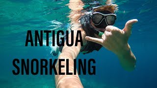 Amazing REEF SNORKELING Antigua Caribbean Travel Vlog 4K [upl. by Ennoitna786]