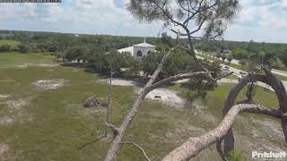 SWFL Eagles 🦅 52224 Nest Cam View [upl. by Iel]