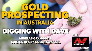 Testing Coiltek Goldhawk 10 x 5quot Coil on Minelab GPX 6000 Metal Detector [upl. by Wrand]