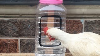 How To Make Drinker For Chickens With Waste Plastic Material Without Spending Money [upl. by Aysab]