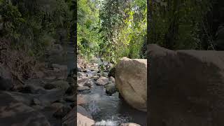 Nature sounds gemericik air sungai sungai nature healing holiday river [upl. by Rasla7]